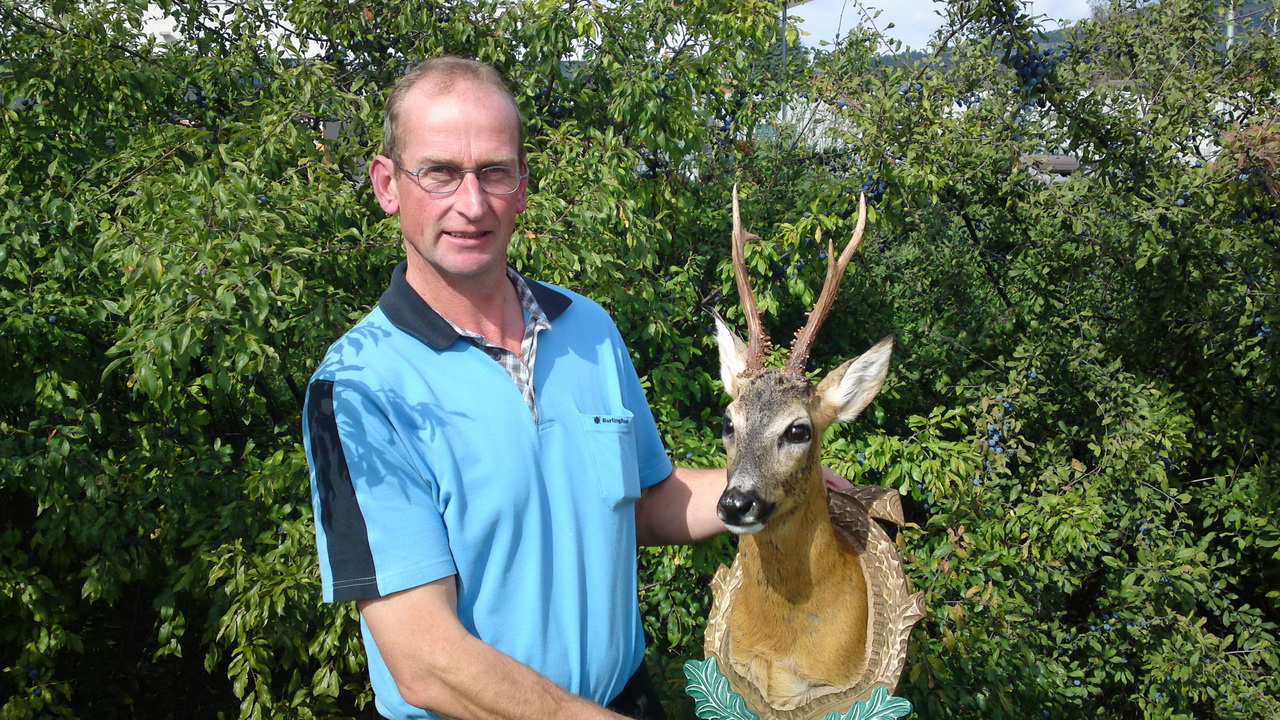 Zoom-In Wolfsberger Bock