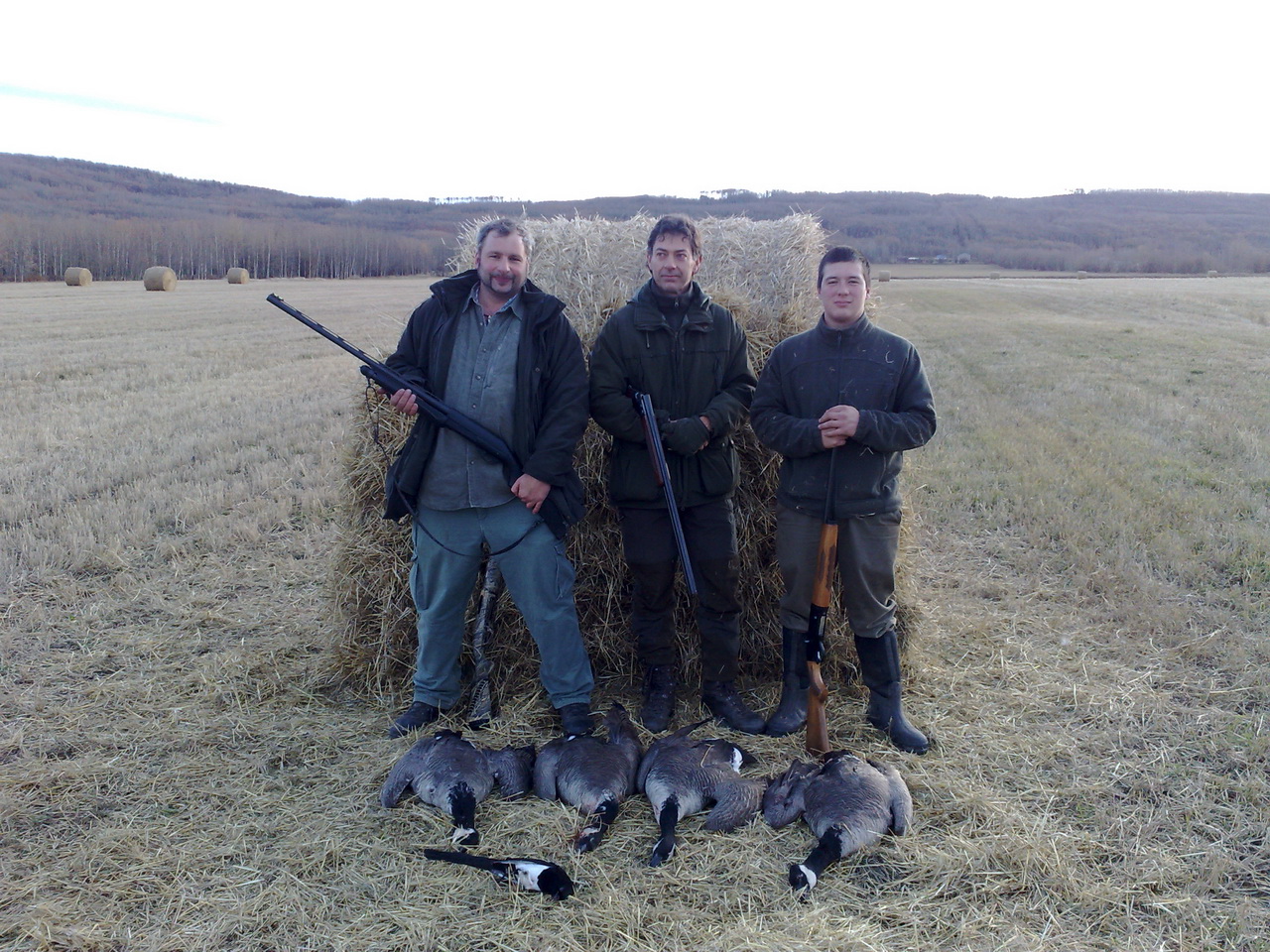 Zoom-In Gansjagd in Kanada