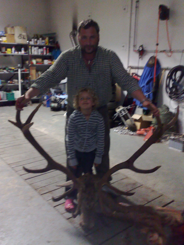 Zoom-In Ein guter Hirsch der FW Foscari