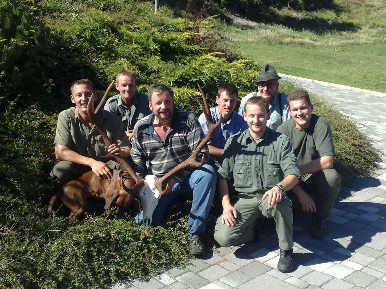 Zoom-In Hirsch, 12 Jahre