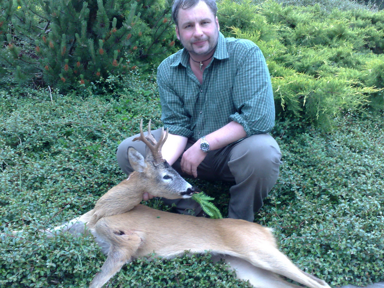 Zoom-In Guter Bock vom Altenberg