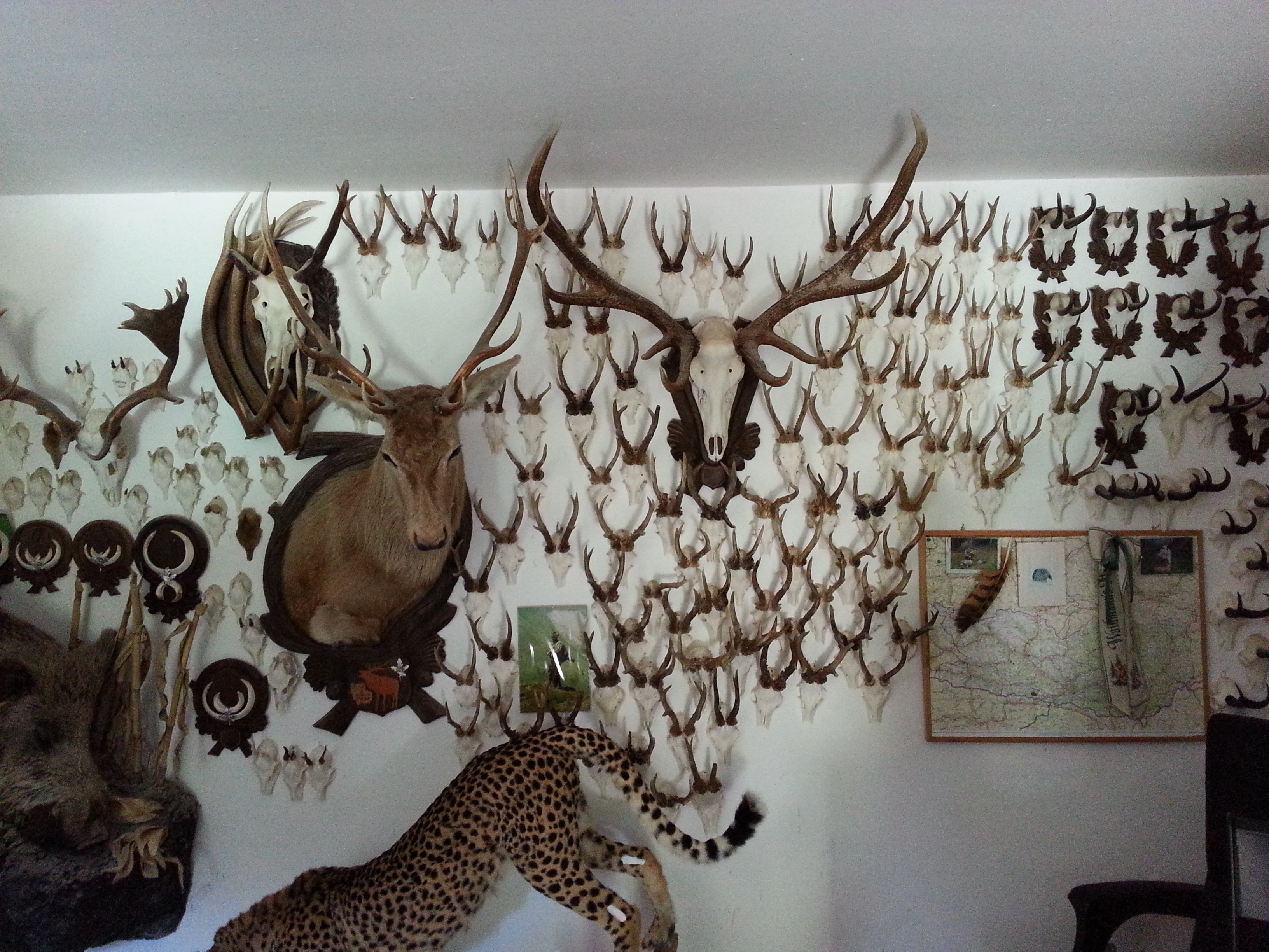 Zoom-In Meine Trophäen