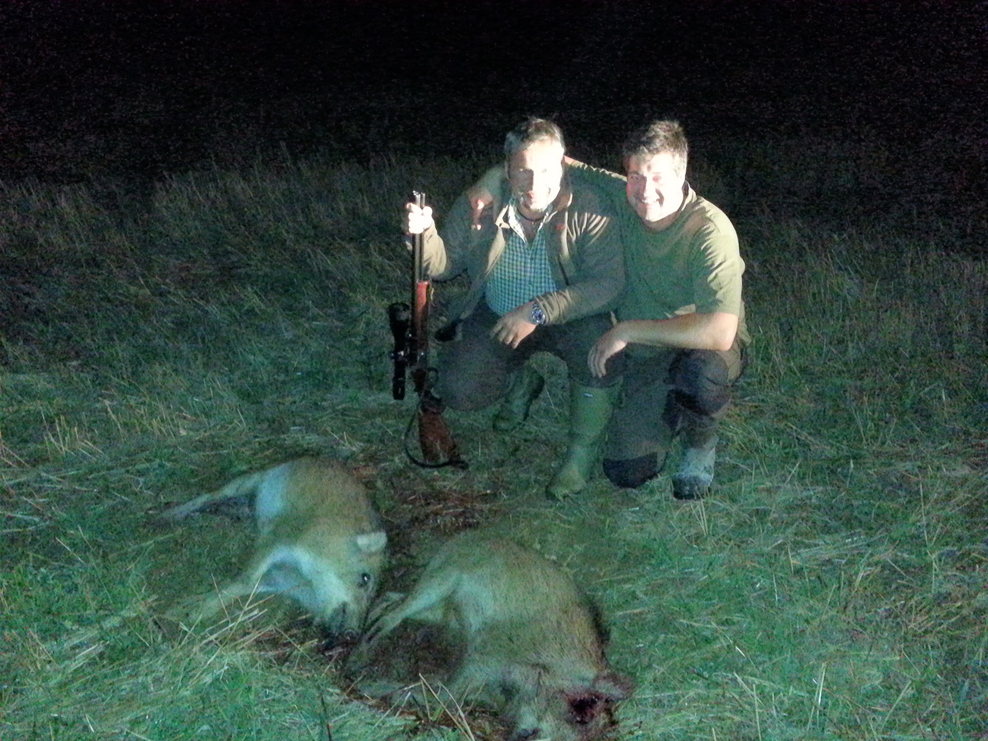 Zoom-In 2 Frischlinge bei Thomas 2012