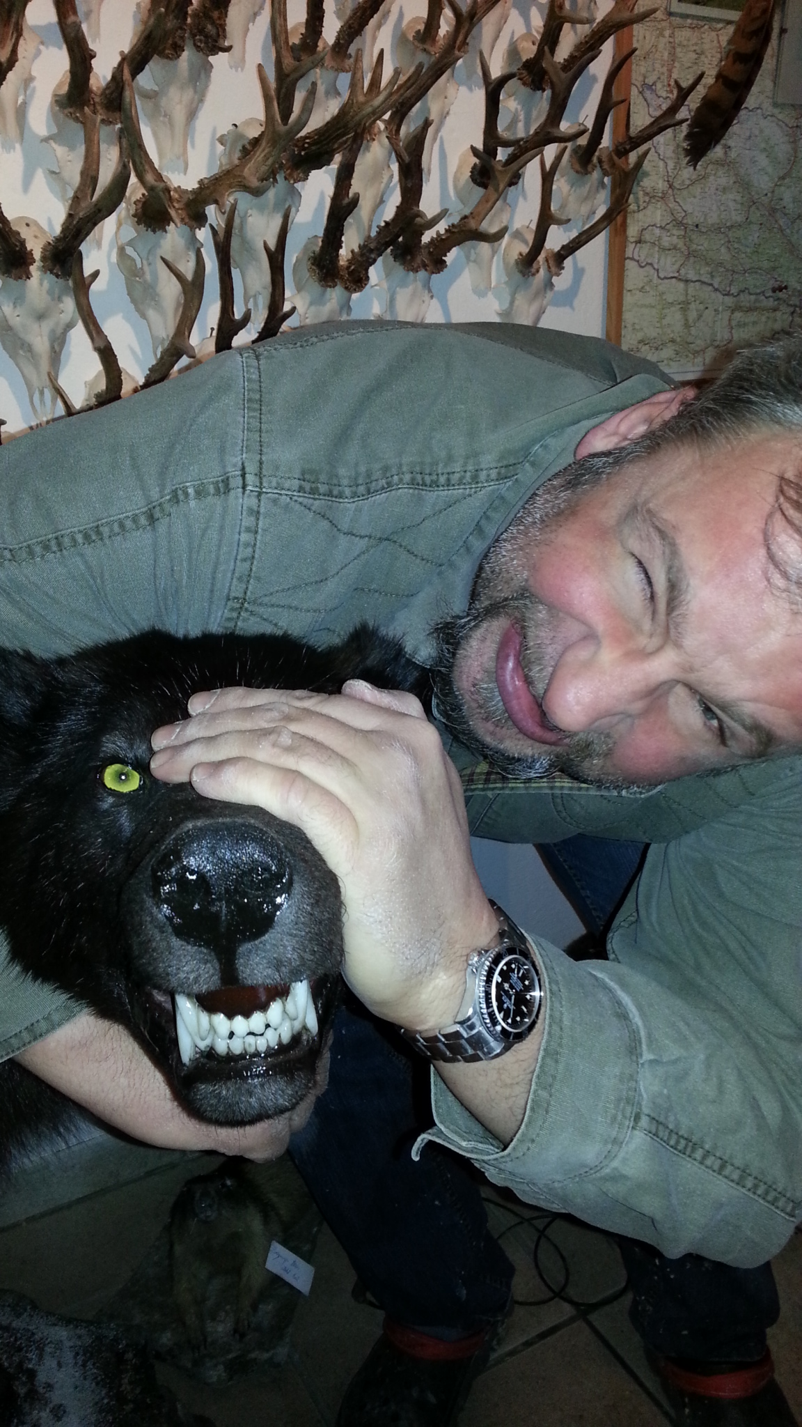 Zoom-In Keine Angst vorm bösen Wolf
