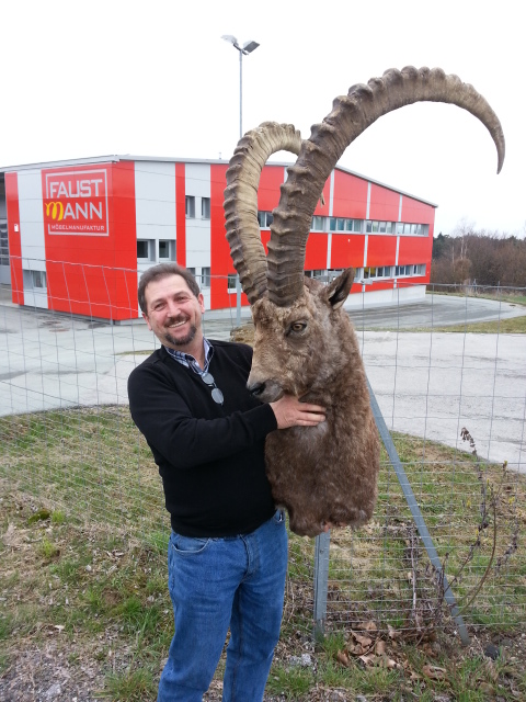 Zoom-In Guter Steinbock