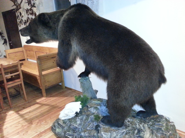 Zoom-In 350 kg schwer