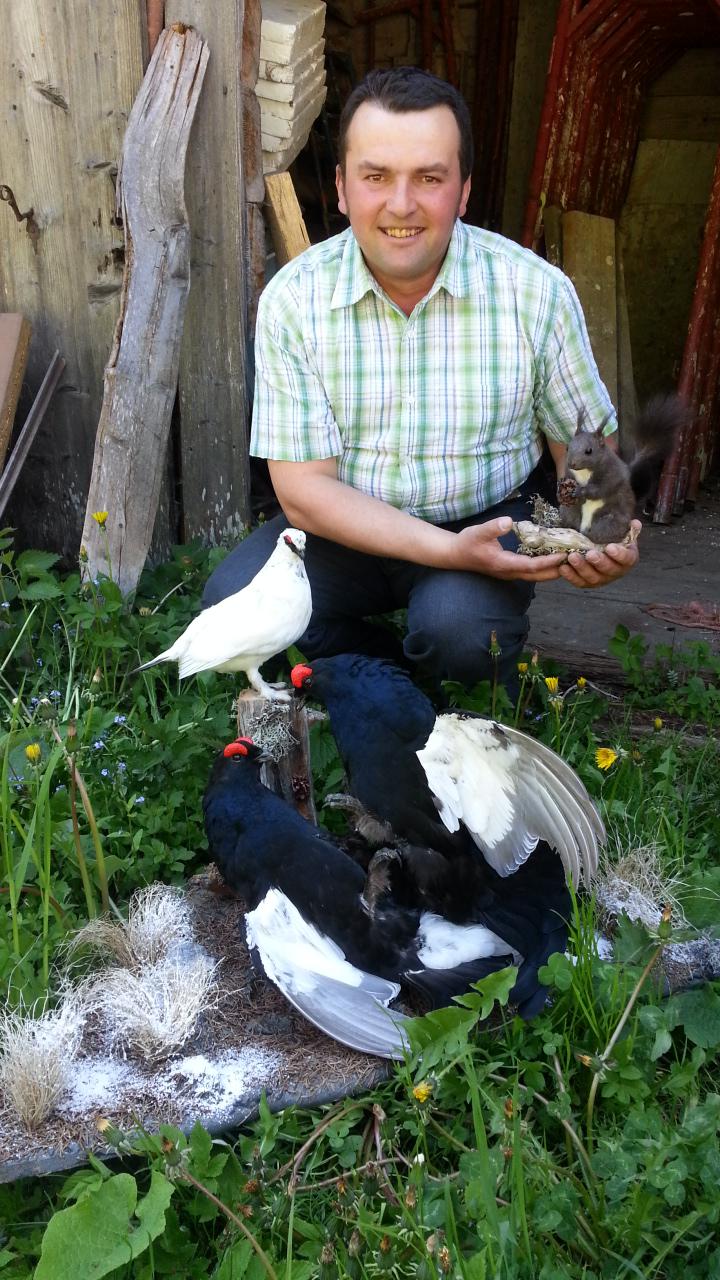 Zoom-In 2 Birkhähne, Schneehahn