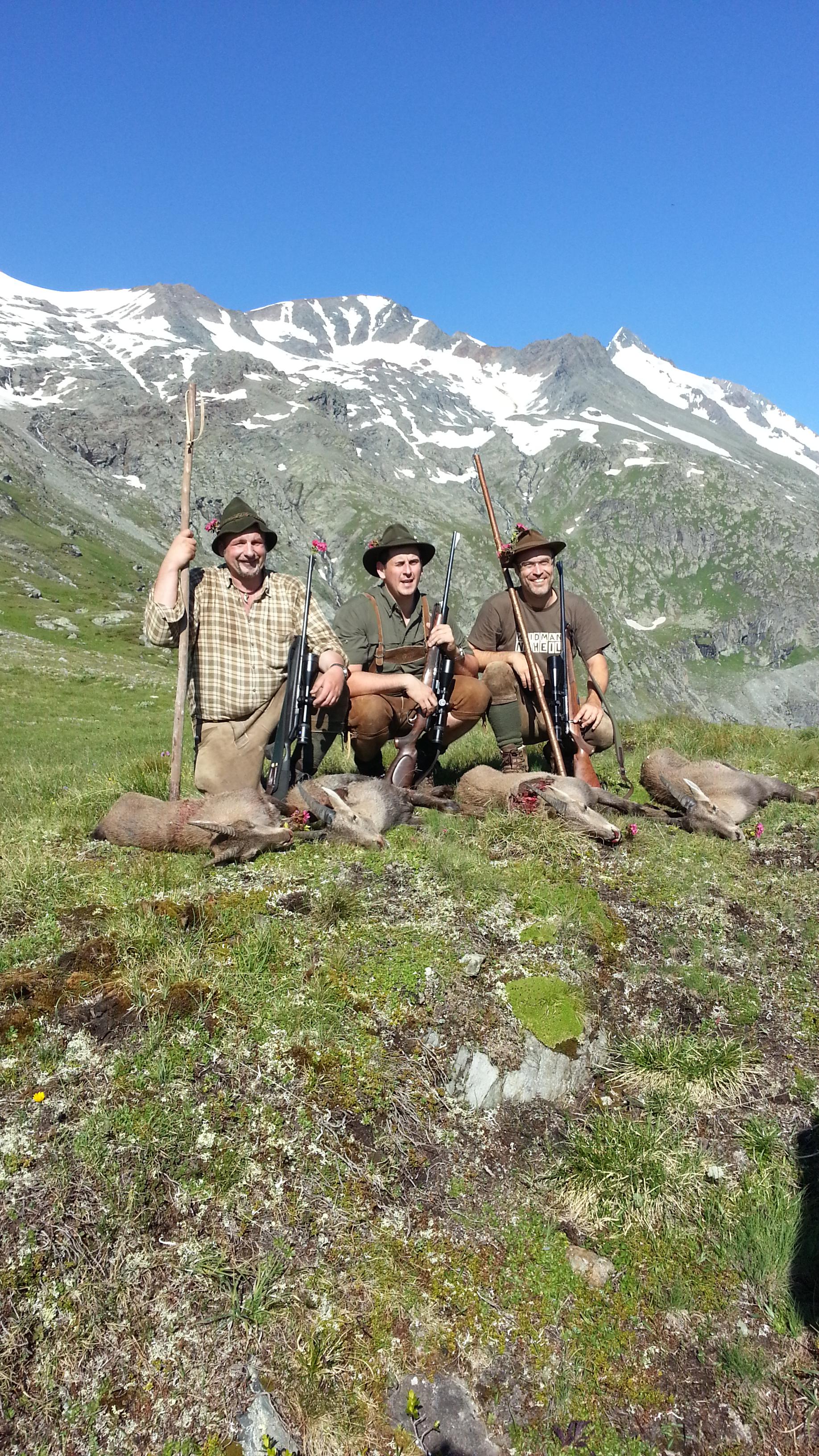 Zoom-In Steinbockjagd am Glockner
