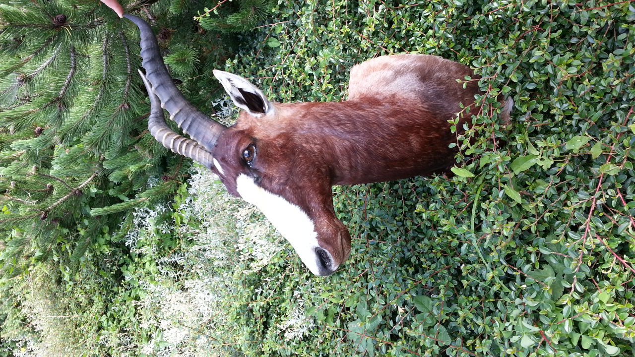 Zoom-In 20140626_090032.jpg