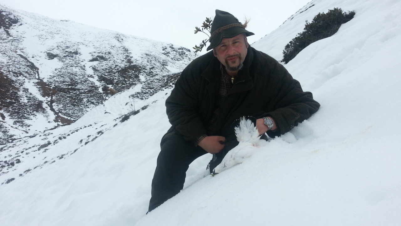 Zoom-In Schneehahnjagd in Osttirol