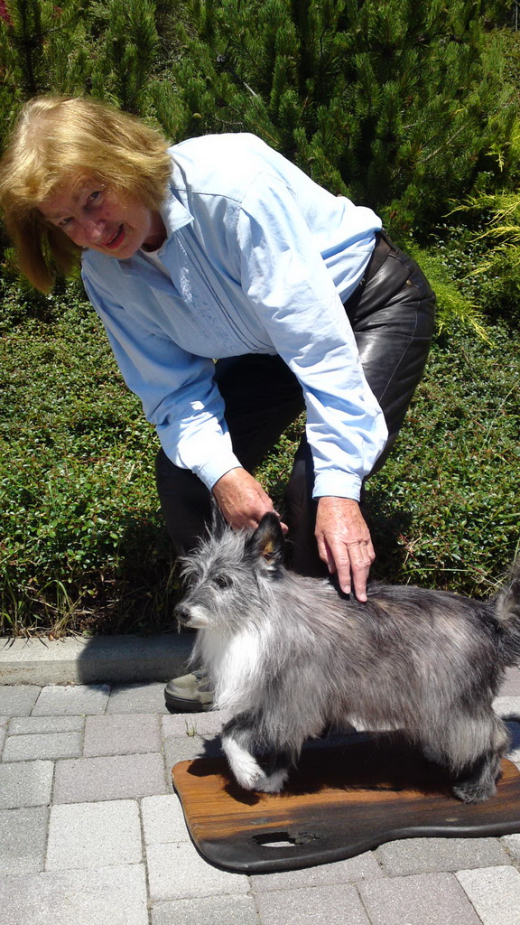 Zoom-In Manchmal machen wir auch einen Hund!