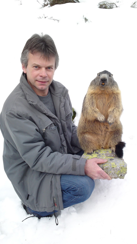 Zoom-In Murmel Kegel