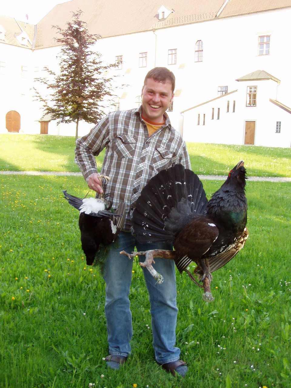 Zoom-In Russischer Auerhahn und Birkhahn, Förster