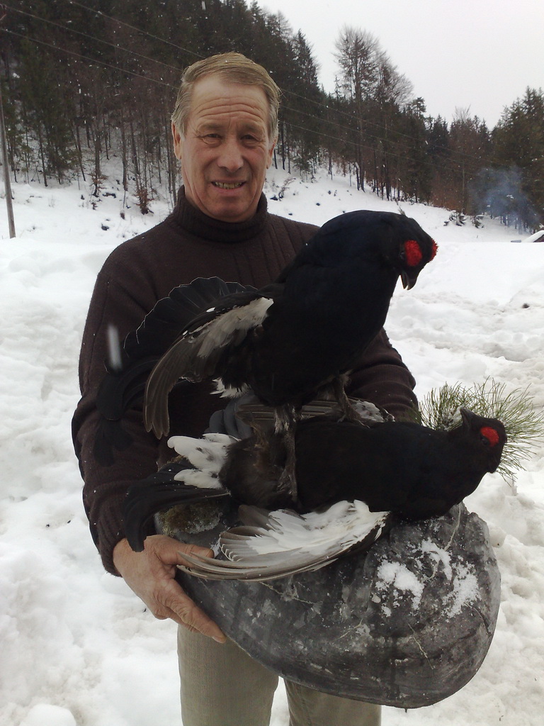 Zoom-In Zwei Salzburger Hahnen