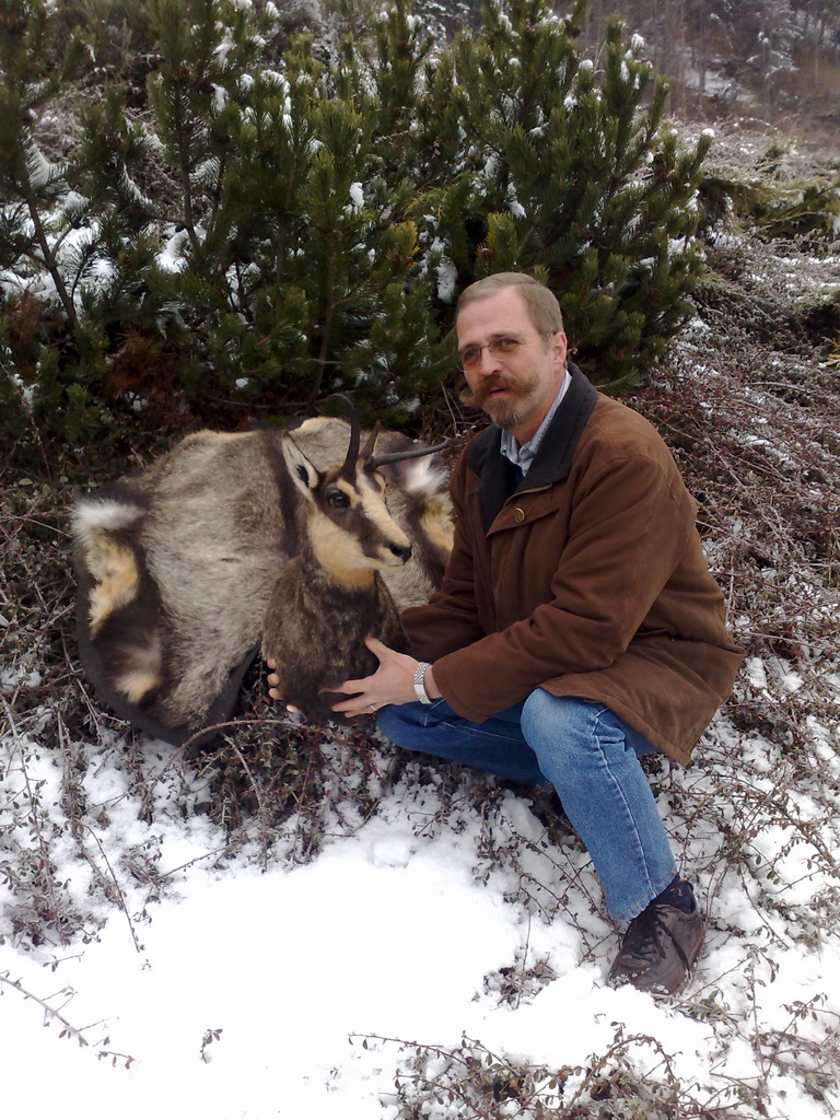 Zoom-In Alte Gamsgeiß mit Decke
