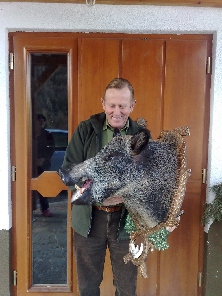 Zoom-In Wildschwein aus dem Drautal