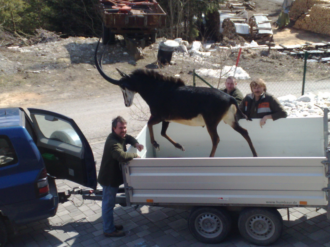 Zoom-In Schaut doch gut aus?